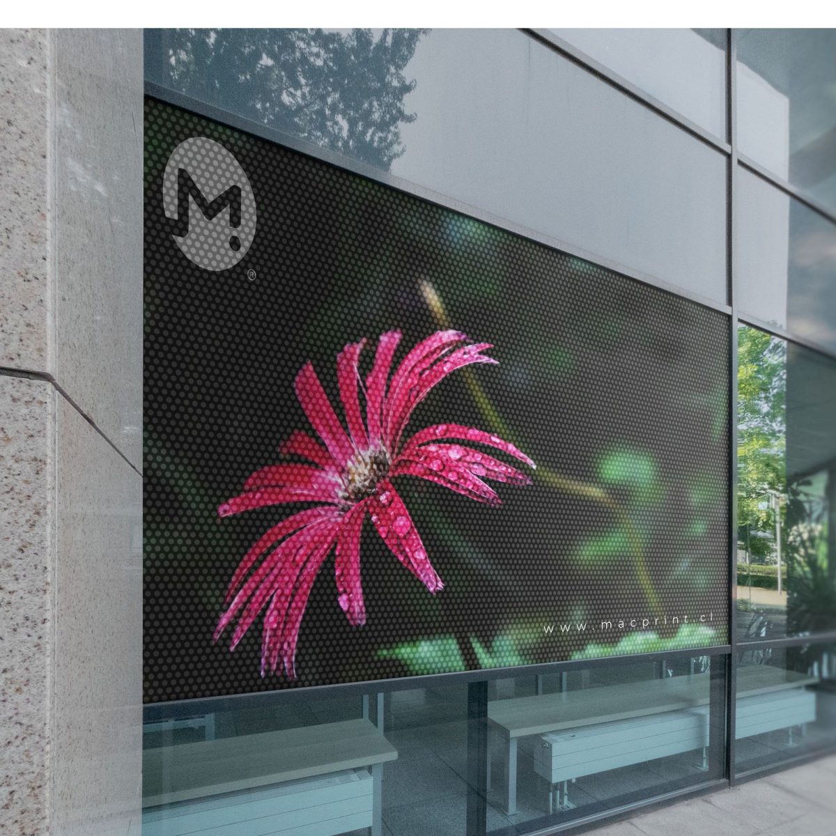 Adhesivo windows vision adhesivo Windows Vision Adhesivo